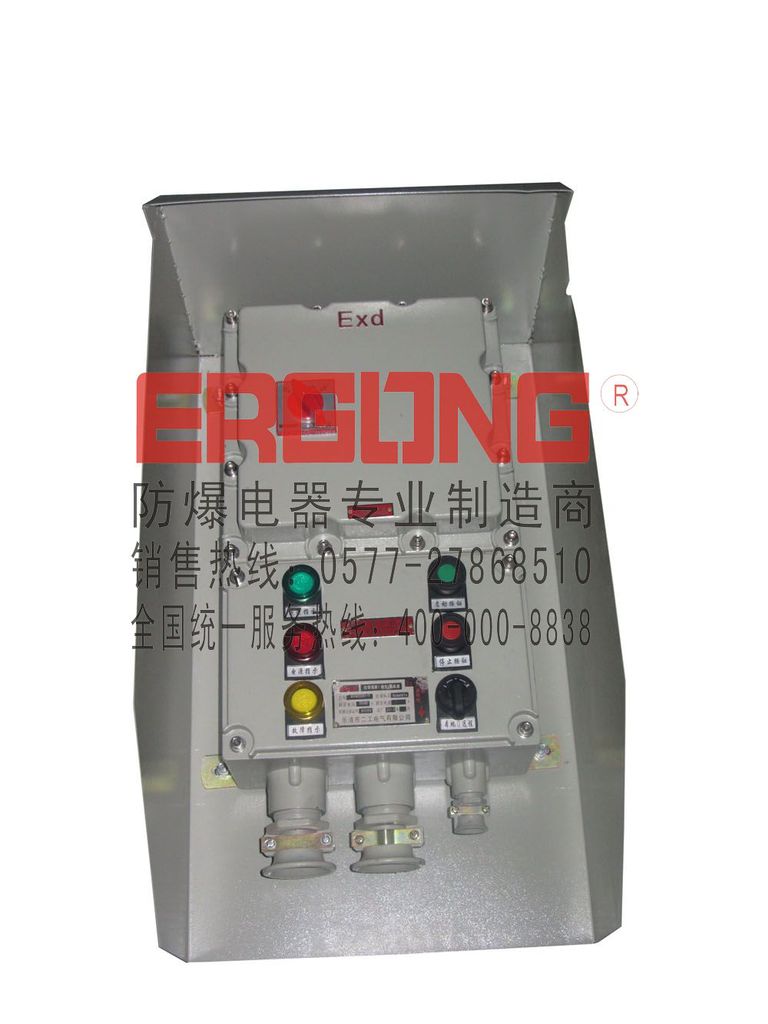 【上海防爆配电箱,可来图厂家定制防爆箱】价格,厂家,图片,其他安检防爆器材,乐清市二工电气-
