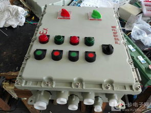 BXMD58 2K防爆照明配电箱详解 专业厂家定制2路带总开关方案与高清大图鉴赏